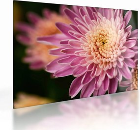 Tablou pe sticlă detailat cu flori (70x50 cm)