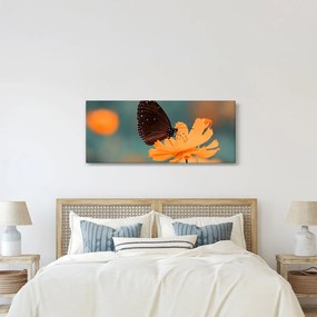 Tablou - fluture pe o floare portocalie (120x50 cm)