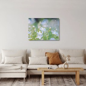 Tablou pe sticlă - Flori delicate (70x50 cm)