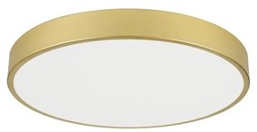 Immax NEO 07293L - Plafonieră LED+CCT dimmabilă SEMPLICI 60W/230V, Ø 60 cm, cu telecomandă