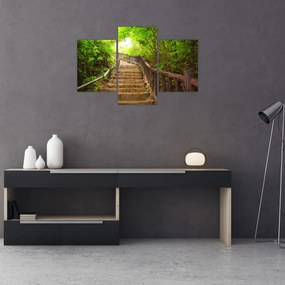 Tablou - Scări în natură (90x60 cm)