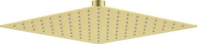 Cascada Cap de duș, oțel - 250x250 mm Finisaj: Auriu periat NAC_R02K