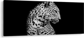 Tablou - Leopardul (120x50 cm)