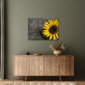 Tablou pe sticlă - Floare de floarea soarelui (70x50 cm)