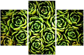 Tablou cu flori de piatră (90x60 cm)