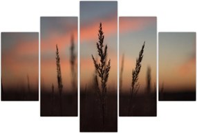 Tablou - Silueta plantei (150x105 cm)