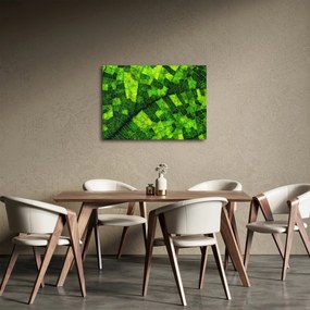 Tablou - Detaliu frunze (70x50 cm)