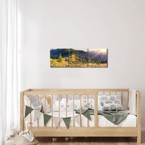 Tablou - Peisaj forestier (cu ceas) (90x30 cm)