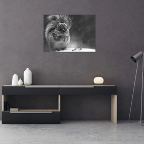 Tablou pe sticlă - Veveriță în timpul iernii (70x50 cm)