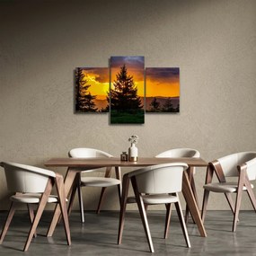 Tablou - coniferi (90x60 cm)