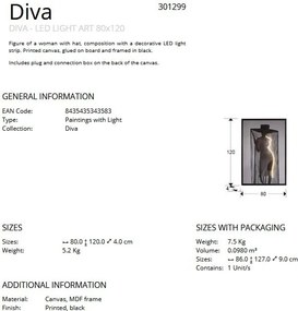 Tablou de perete decorativ cu iluminat Diva