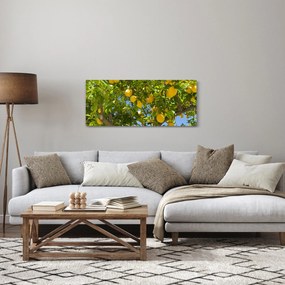 Tablou - Lămâiță (120x50 cm)
