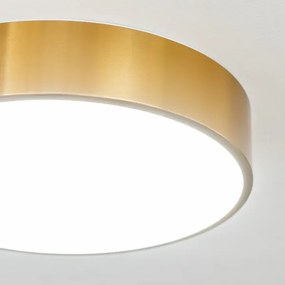 Brilagi - Plafonieră LED pentru baie POOL, 24W, 230V, Ø 30 cm, IP54, bronz