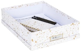 Cutie de depozitare Bigso Box of Sweden Oskar, auriu-alb