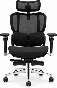 Scaun ergonomic ANEW ARYSE D4 Pro, Suport lombar dual adaptiv 360°, Tetieră 3D, Cotiere 5D, Șezut Glisant Zero-Pressure din Mesh, Suport picioare, Bază metalică, Negru