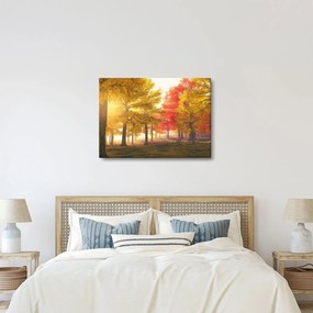 Tablou cu copaci toamna (70x50 cm)