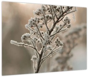 Tablou pe sticlă - Plantează în îngheț (70x50 cm)