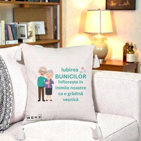 Cadou pentru Bunici - Perna Personalizata Bunicii Iubirea Infloreste Cuplu Senior Teal, 40x40 cm, Bej cu Franjuri, Husa Detasabila, Perna Inclusa, BEKZ®