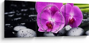 Tablou - Orhidee (cu ceas) (90x30 cm)