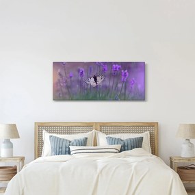 Tablou - fluture în lavandă (120x50 cm)