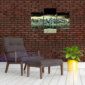 Tablou suprafeței de apă (90x60 cm)