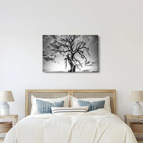 Tablou - Copacul, alb-negru (90x60 cm)