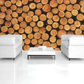Fototapet - Lemn (152,5x104 cm)