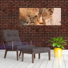 Tablou cu pui de leu (120x50 cm)