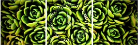 Tablou cu flori de piatră (cu ceas) (90x30 cm)
