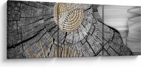 Tablou - Trunchiul copacului colaj (cu ceas) (90x30 cm)