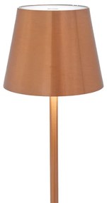 Veioza Brave LED rose gold D10x35cm