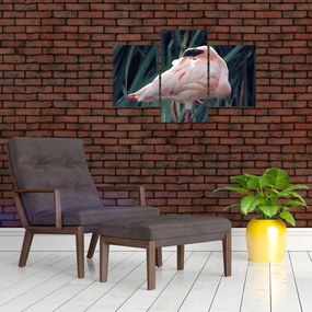 Tablou - Pasărea Flamengo (90x60 cm)