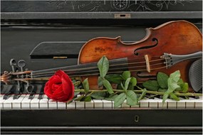 Tablou- Amintire de muzicean (90x60 cm)