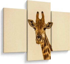 Tablou cu girafe (90x60 cm)
