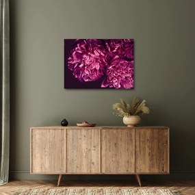 Tablou - Floarea bujorului (70x50 cm)