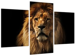 Tablou - Leu cu o coamă bogată (90x60 cm)