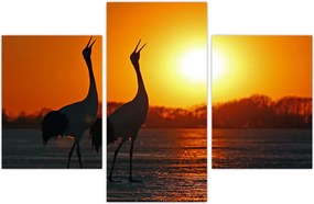 Tablou cu păsări în apus de soare (90x60 cm)
