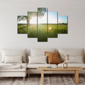 Tablou cu lunca în vară (150x105 cm)