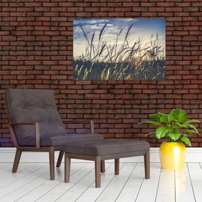 Tablou cu flori de câmp (90x60 cm)
