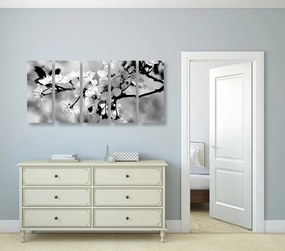 Tablou 5-piese floare de cireș în design alb-negru