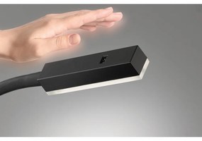 Spot negru LED cu intensitate reglabilă din metal Raik – Fischer &amp; Honsel