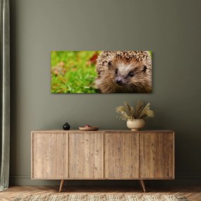 Tablou cu arici (120x50 cm)
