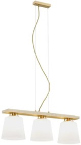 Lustră pe cablu ARDEN 3xE27/15W/230V Argon 6250