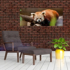Tablou cu panda roșie (120x50 cm)