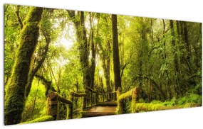 Tablou junglei cu mușchi (120x50 cm)