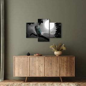 Tablou - Bufniță de noapte, albastru (90x60 cm)