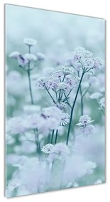 Tablou Printat Pe Sticlă Astrantia