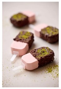 Formă pentru înghețată din silicon – Blomsterbergs