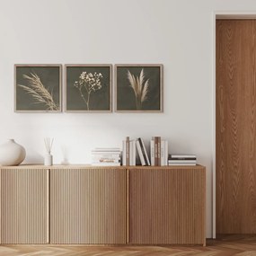 Tablouri 3 buc. 30x30 cm Pampas – Styler