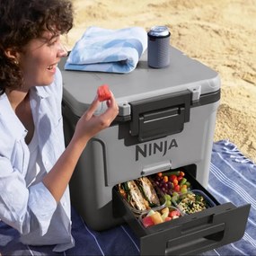 Lada frigorifica Ninja FrostVault FB230EUGY, 28 l, Pasiva, 48 doze, Pastreaza gheata pana la 5 zile, Compartiment uscat, Roti, Gri